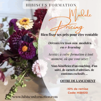 Pricing (e-learning)