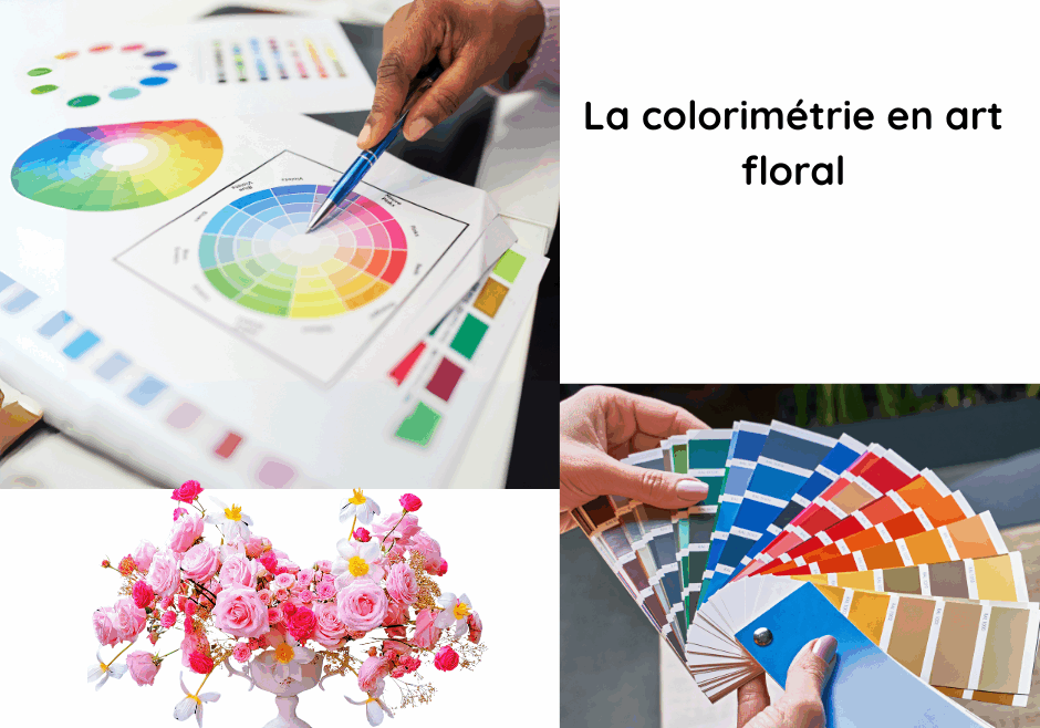 La colorimétrie (e-learning)