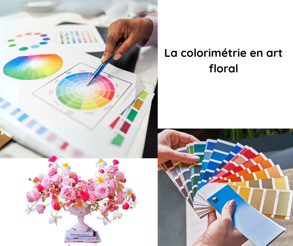 Roue chromatique illustrant le module Colorimétrie du parcours Devenir Floral Designer - Hibiscus Blooms