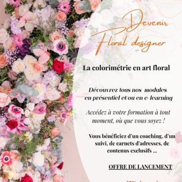 La colorimétrie (e-learning)