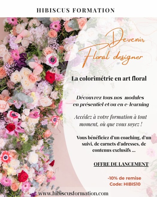 La colorimétrie (e-learning)